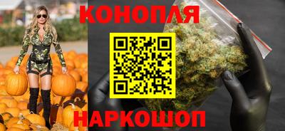 мдпв Рузаевка