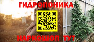 мдпв Рузаевка
