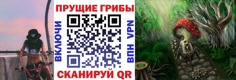 наркота  OMG онион  Галлюциногенные грибы MAGIC MUSHROOMS  Черняховск 