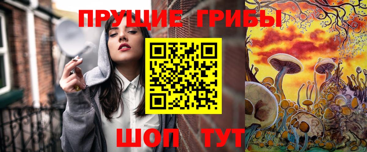 Черняховск  Галлюциногенные грибы Cubensis  Вход с VPN 