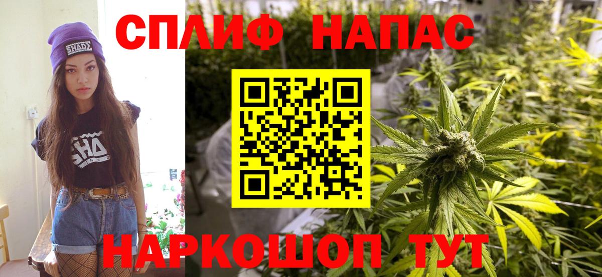Конопля MAZAR Черняховск